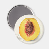 Perzeren Magneet (Voorkant / Achterkant)