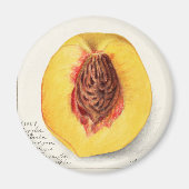 Perzeren Magneet (Voorkant)