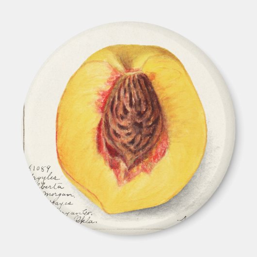 Perzeren Magneet (Voorkant)