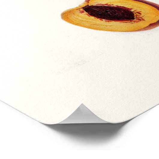 Perzeren Poster (Hoek)