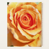 Perzik Abrikozen Roos Planner voor het geven van b (Achterkant)