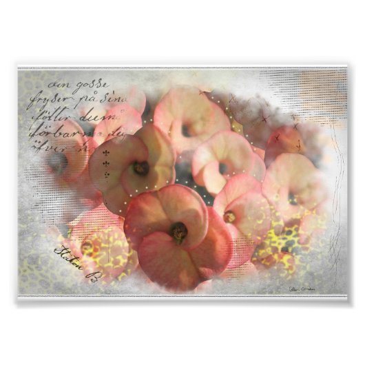 Perzik Bloemen Mixed Media Foto Afdruk (Voorkant)