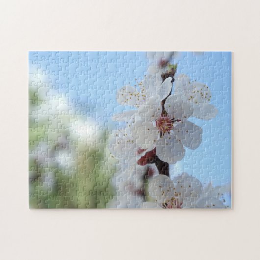 Perzik bloemen Puzzel (Horizontaal)