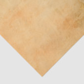 Perzik Bloemenschildering – Zachte Abstracte Achte Tissuepapier (Detail)
