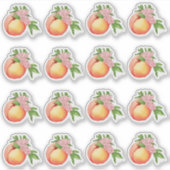 Perzik Blossom Waterverf Mini Stickers (Voorkant)