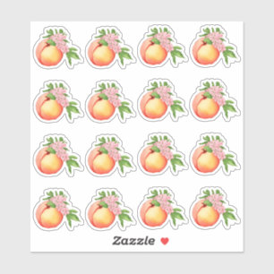 Perzik Blossom Waterverf Mini Stickers