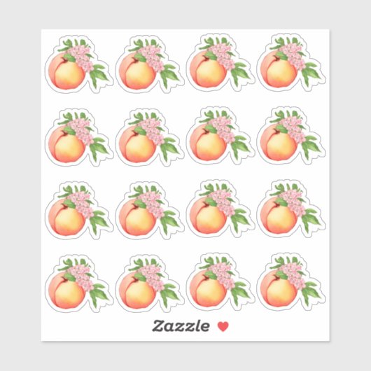 Perzik Blossom Waterverf Mini Stickers (Vel)