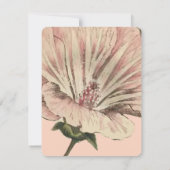 Perzik  Boho Botanisch Roos Bloemendiner Kaart (Achterkant)