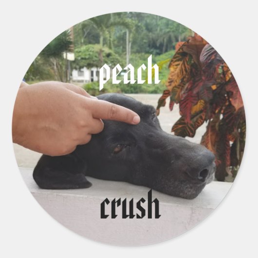 Perzik Crush Gentle Touch Dog sticker (Voorkant)