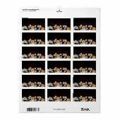 Perzik en blauw sakura Label (Full Sheet)