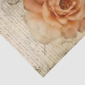 Perzik en Blauwgroen Floral Bird Cage Decoupage Tissuepapier (Detail)