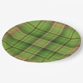 Perzik en Groene Spuit (onderkant) Papieren Bordje (Gekanteld)