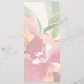 Perzik- en karmozijnrode Cattleya-orchideeën Menu (Achterkant)