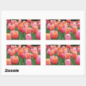 Perzik en roze tulpen rechthoekige sticker (Vel)