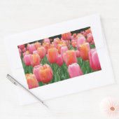 Perzik en roze tulpen rechthoekige sticker (Envelop)