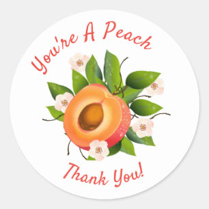 Perzik Fruit Conserveren   Bedankt Enveloppe Sluit Ronde Sticker