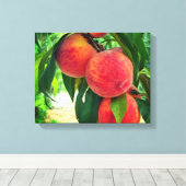 Perzik Fruitboom Tak Gestrekte Canvasprint Canvas Afdruk (Insitu (Houten vloer))