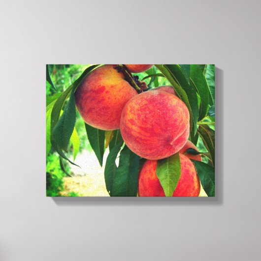 Perzik Fruitboom Tak Gestrekte Canvasprint Canvas Afdruk (Voorkant)