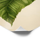  perzik fruittak met bloesem perfect poster (Hoek)