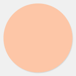 Perzik Fuzz Effen Kleur Ronde Sticker