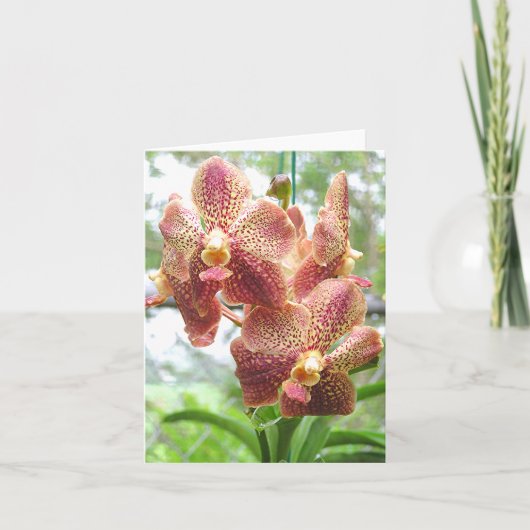 PERZIK, GEEL & MAGENTA-GEKLEURDE ORCHIDEE KAART (Voorkant)
