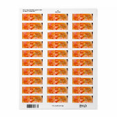 Perzik Geel Roze Blend Roos Flower Foto Etiket (Full Sheet)