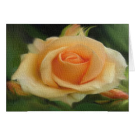 Perzik gekleurd Roos op canvaskaarten
