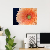 Perzik Gerbera Poster (Thuiskantoor)