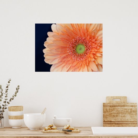 Perzik Gerbera Poster (Keuken)