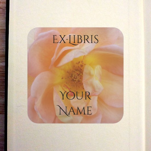 Perzik-Kleurige Roos Exlibris Vierkante Sticker
