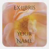 Perzik-Kleurige Roos Exlibris Vierkante Sticker (Voorkant)