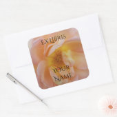 Perzik-Kleurige Roos Exlibris Vierkante Sticker (Envelop)