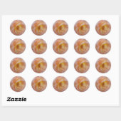Perzik-Kleurige Roos Ronde Sticker (Vel)