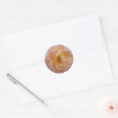 Perzik-Kleurige Roos Ronde Sticker (Envelop)