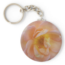 Perzik-Kleurige Roos