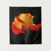 Perzik Oranje Roos Wandkleed (Voorkant)