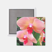 Perzik orchideeën - Magneet (Voorkant / Achterkant)