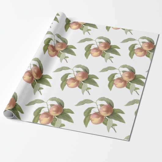 Perzik Patroon Cadeaupapier (Uitgerold)