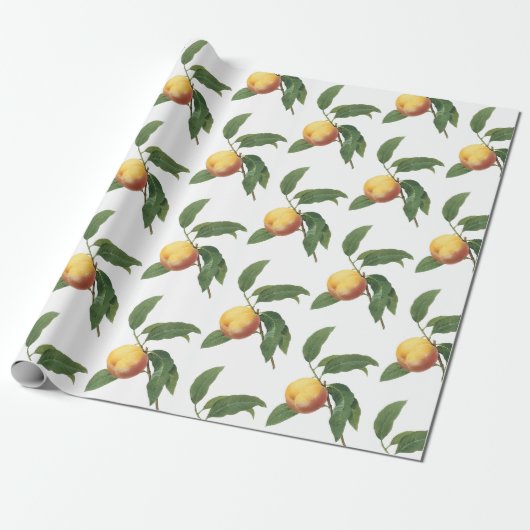 Perzik Patroon Cadeaupapier (Uitgerold)