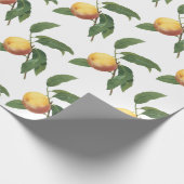 Perzik Patroon Cadeaupapier (Hoek)
