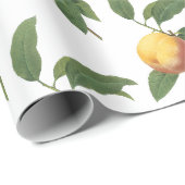 Perzik Patroon Cadeaupapier (Rol Hoek)