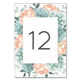 Perzik Pioen Bloemen Succulenten Tafelnummer