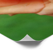 Perzik Roos in bloesemspiegel Abstract Poster (Hoek)