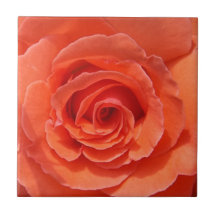 Perzik roos keramische foto tegel