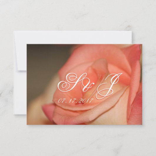 Perzik Roos met koraal Kaart (Voorkant)