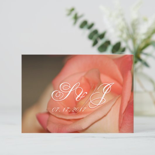 Perzik Roos met koraal Kaart (Staand voorkant)