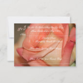 Perzik Roos met koraal Kaart (Achterkant)