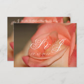 Perzik Roos met koraal Kaart (Voorkant / Achterkant)