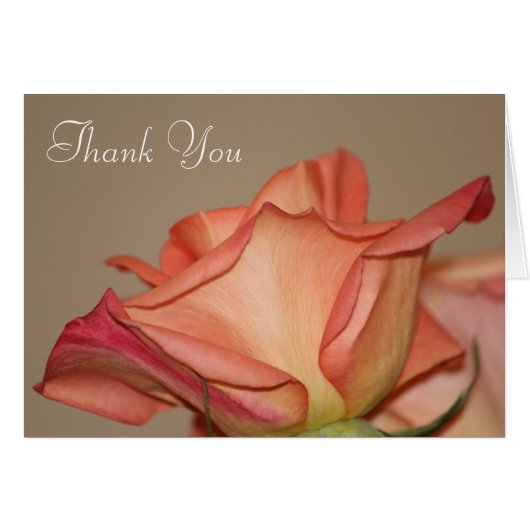 Perzik Roos Stijlvolle Kaart (Voorkant Horizontaal)