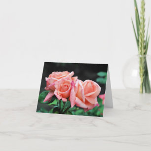 Perzik Roos Trio Bloem Fotografie  Notitiekaartje